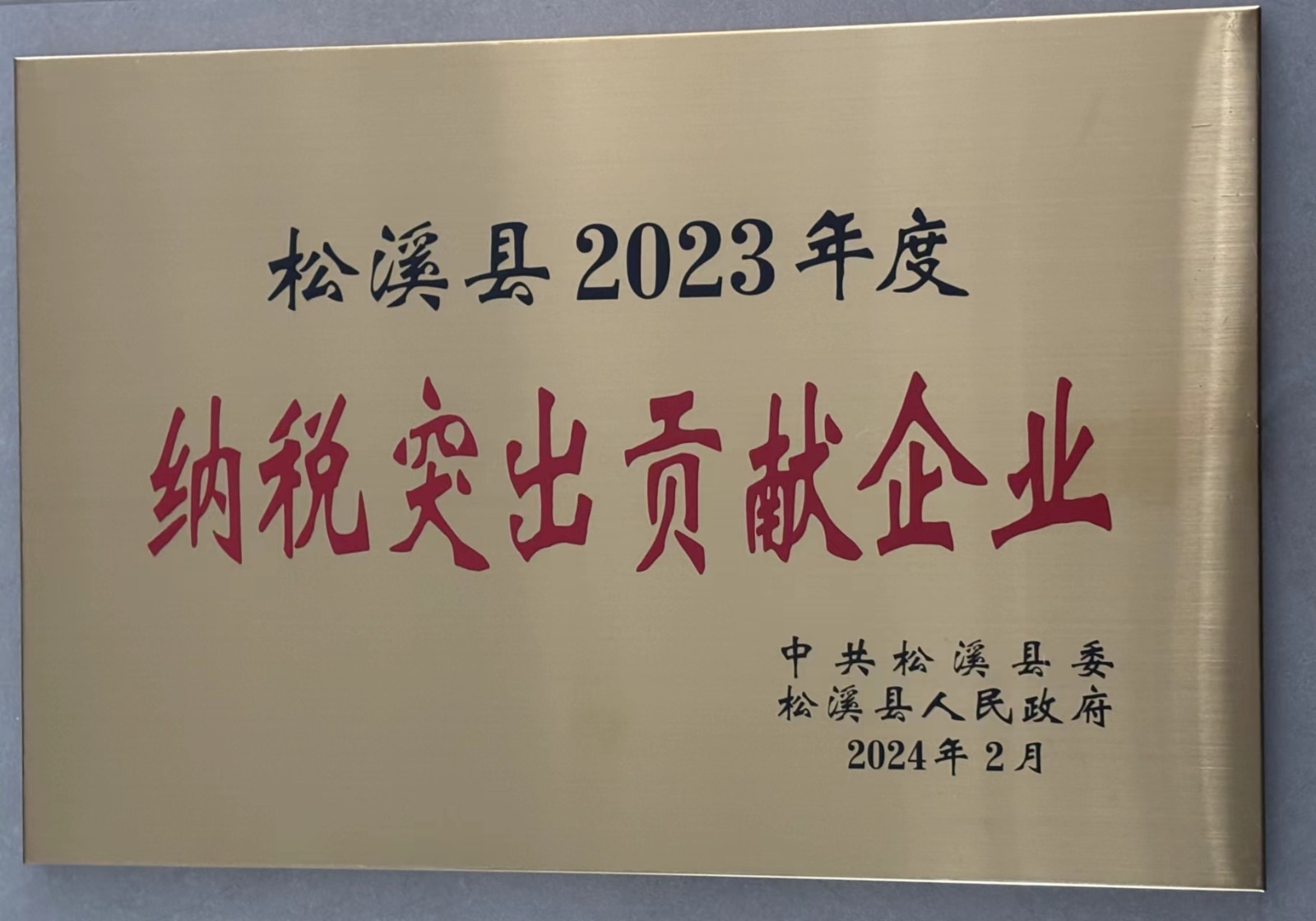 喜報！易順建工集團榮獲“松溪縣2023年度納稅突出貢獻企業(yè)”稱(chēng)號